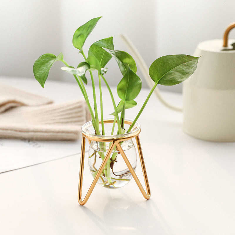 Small Metal Hydroponic Vase