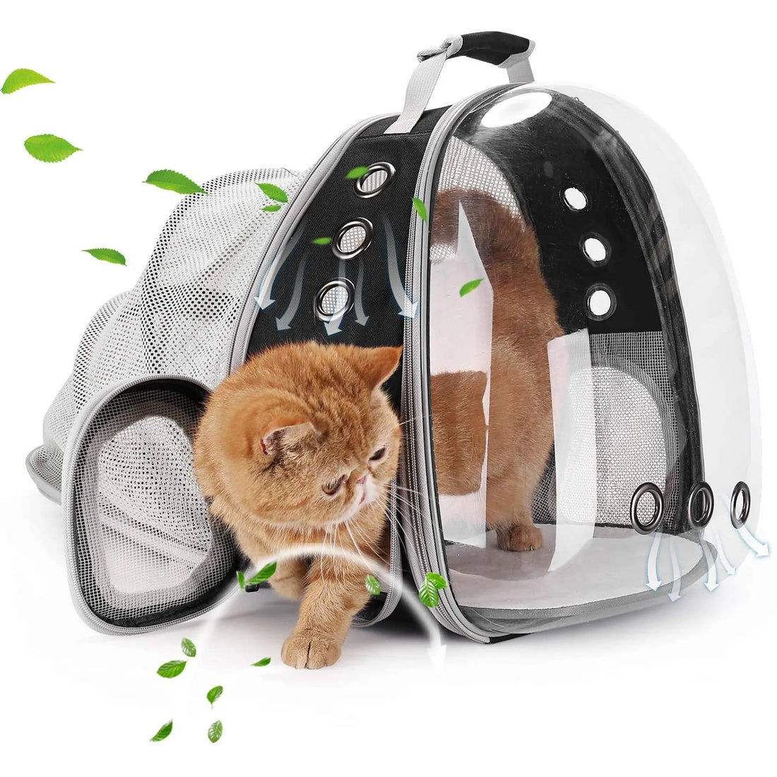 Expandable Pet Carrier Backpack Capsule