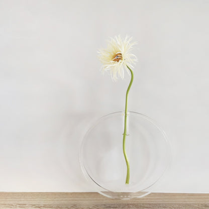 Acrylic Transparent Test Tube Vase