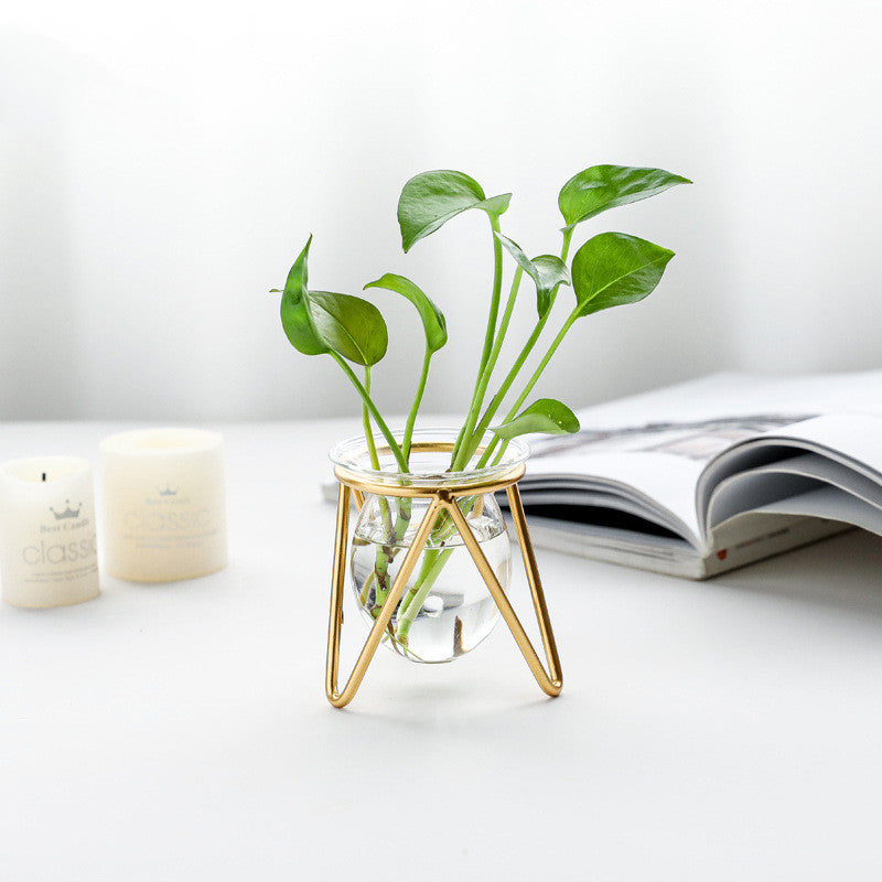 Small Metal Hydroponic Vase